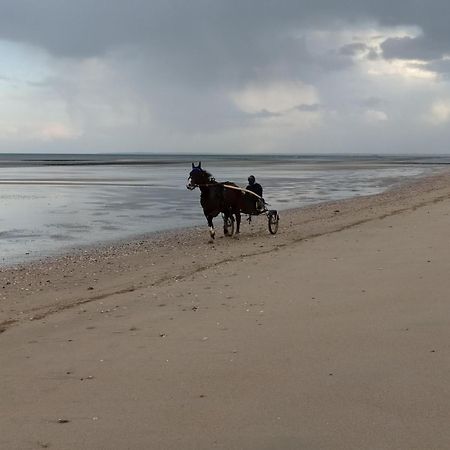 Gites "Bord De Mer" Pmr Ou "Arromanches" 2 Chambres En Front De Mer A Asnelles , 3Km D'Arromanches, 10Km De Bayeux Saint-Come-de-Fresne Ngoại thất bức ảnh